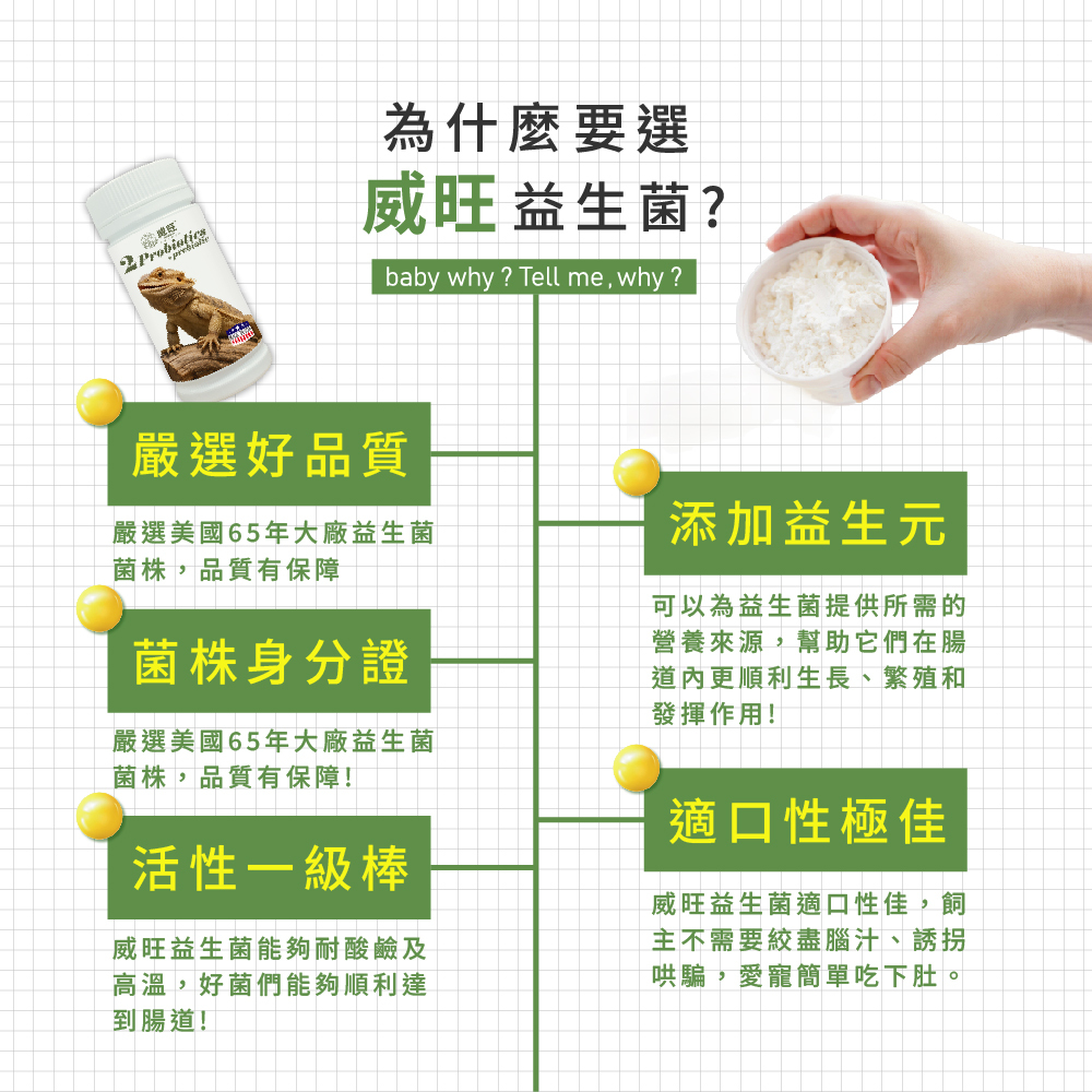 威旺益生菌產品特色介紹圖，強調嚴選美國65年大廠益生菌菌株、菌株身分證、耐酸耐熱高活性益生菌，添加益生元幫助腸道健康，適口性佳，適合寵物日常腸胃保健食用。