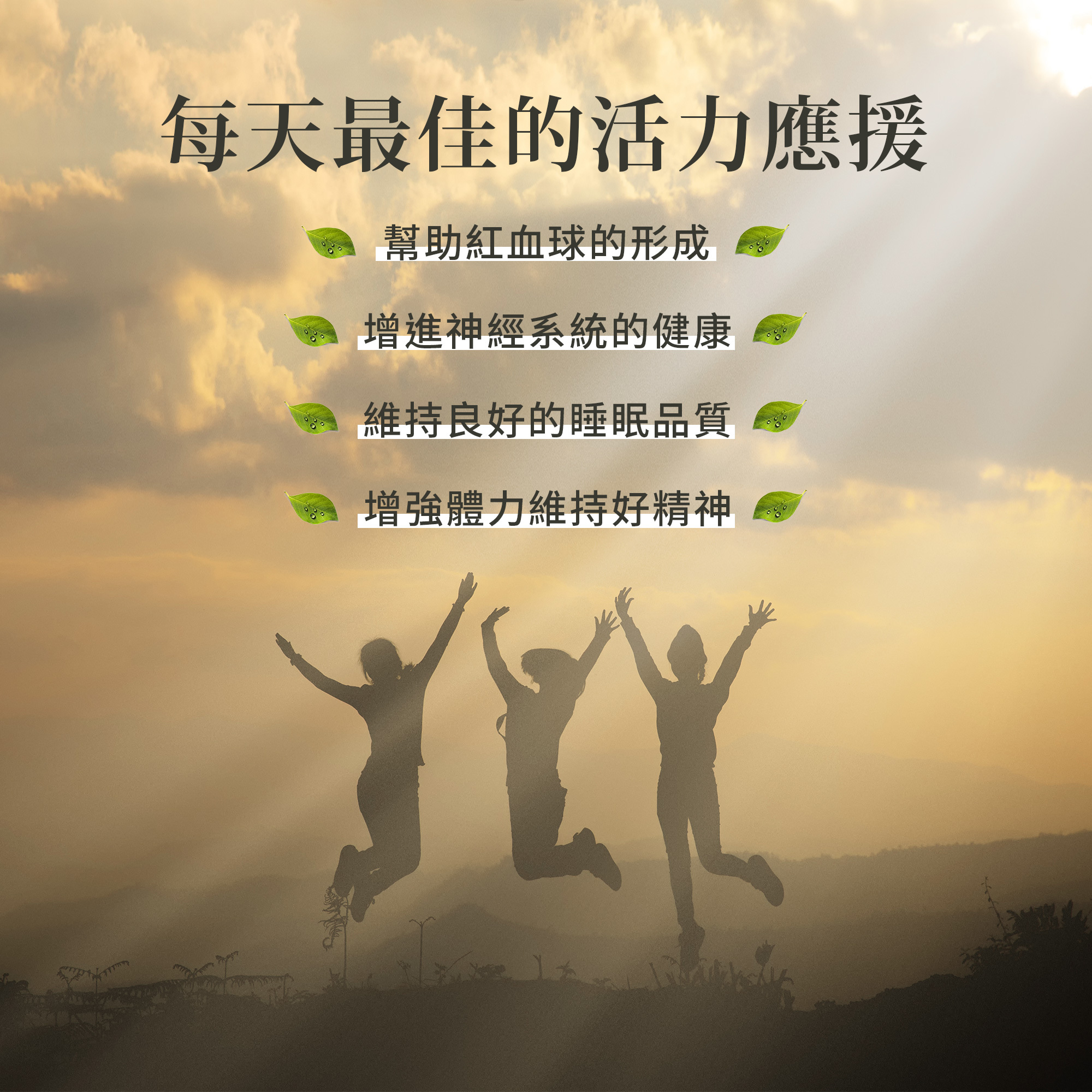 Herbafit 維生素B12 1000mcg 錠狀