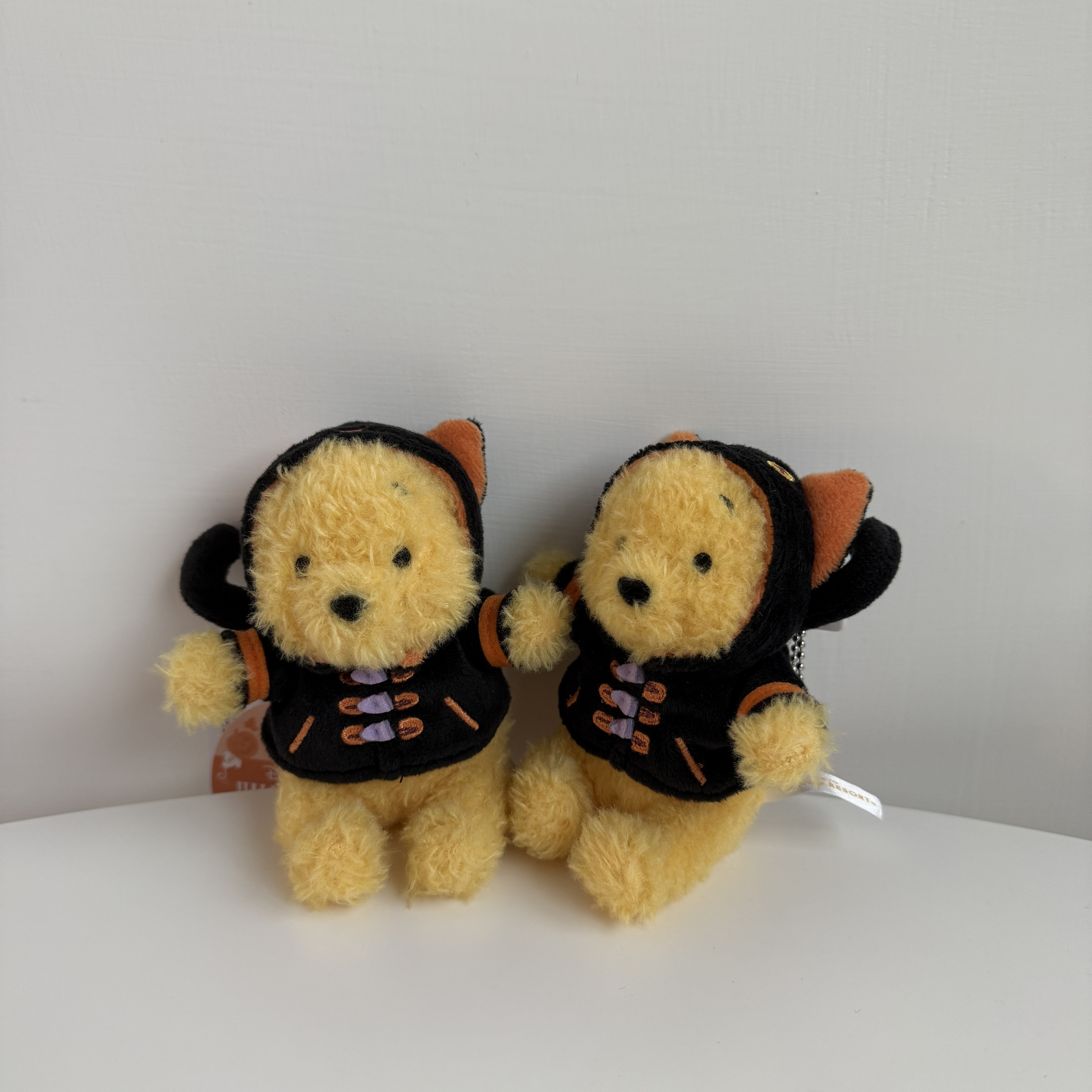 現貨┃日本 DISNEY 迪士尼 萬聖節限定 絨毛 小熊維尼