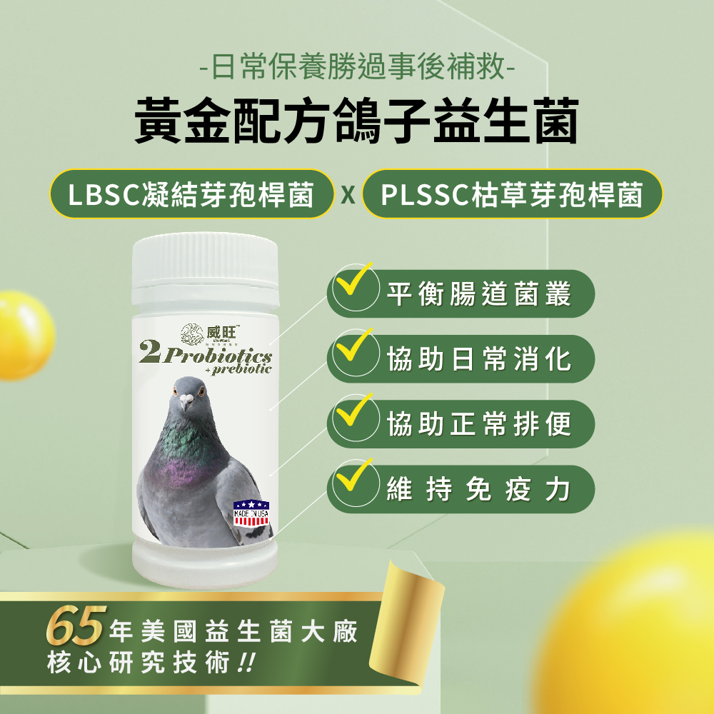 威旺鴿子腸胃二菌說明圖，雙芽孢桿菌配方，幫助腸道菌叢平衡與日常消化保養