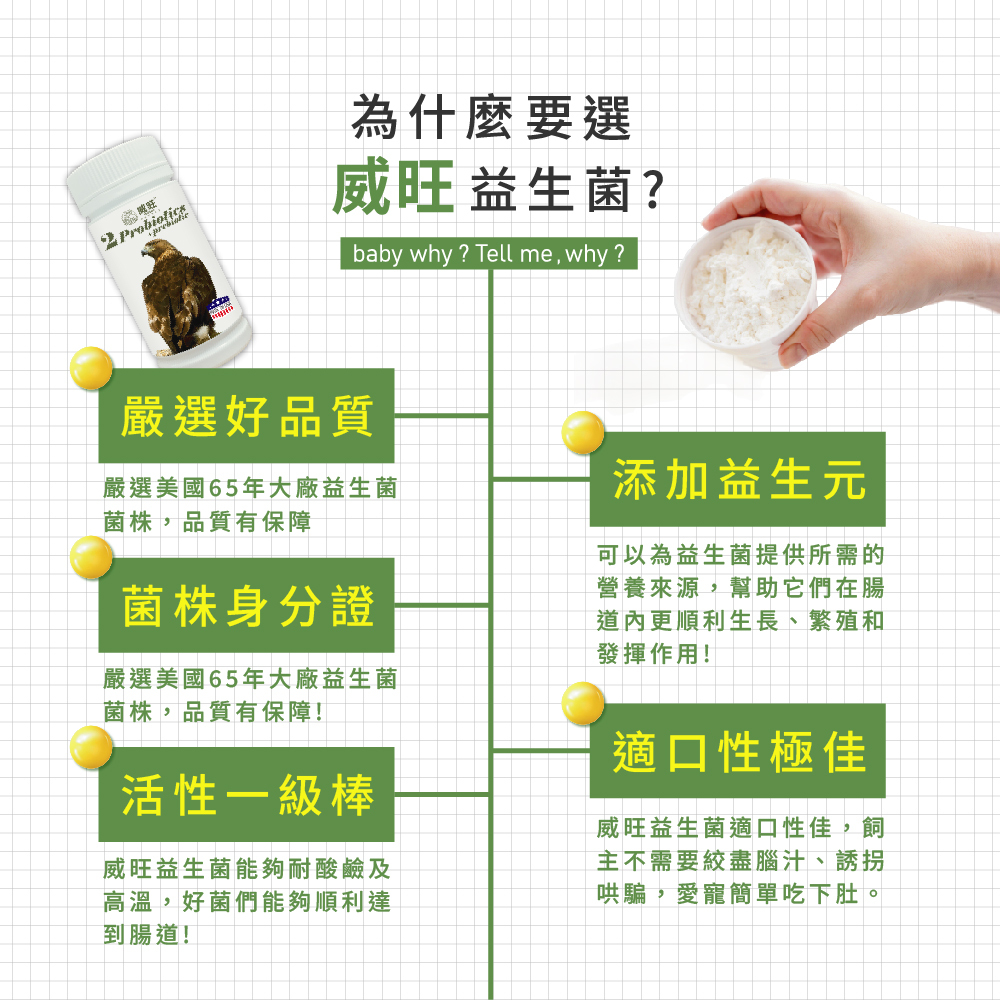 威旺益生菌產品特色介紹圖，強調嚴選美國65年大廠益生菌菌株、菌株身分證、耐酸耐熱高活性益生菌，添加益生元幫助腸道健康，適口性佳，適合寵物日常腸胃保健食用
