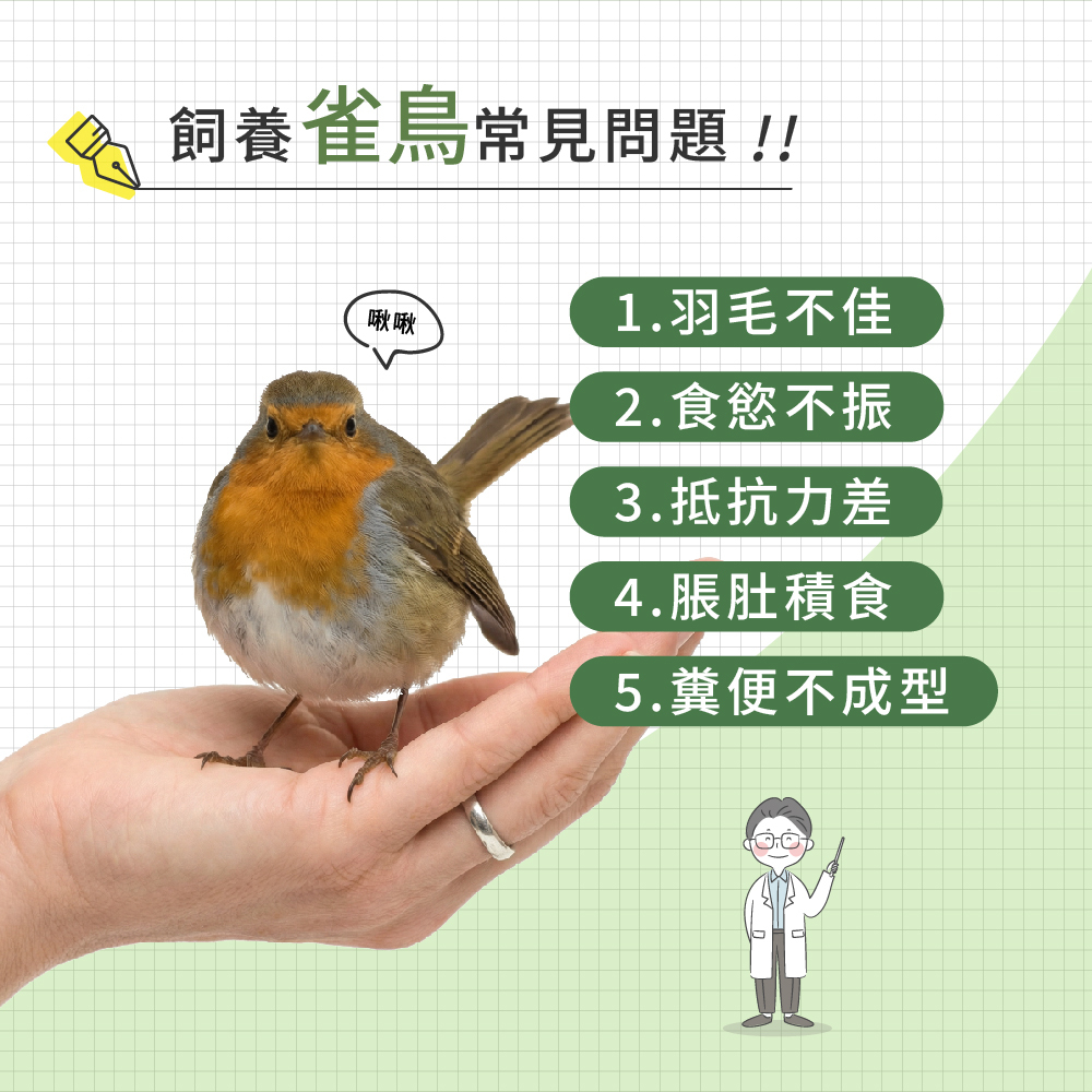 飼養雀鳥常見問題示意圖