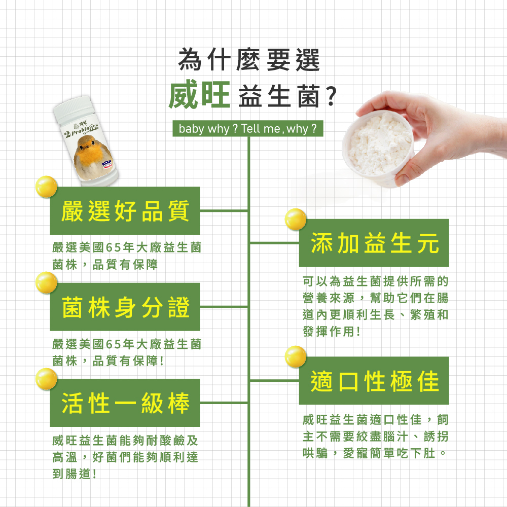 威旺益生菌產品特色介紹圖，強調嚴選美國65年大廠益生菌菌株、菌株身分證、耐酸耐熱高活性益生菌，添加益生元幫助腸道健康，適口性佳，適合寵物日常腸胃保健食用