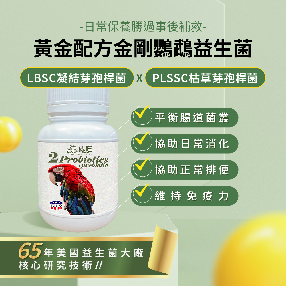 威旺金剛鸚鵡腸胃二菌說明圖，雙芽孢桿菌配方，幫助腸道菌叢平衡與日常消化保養