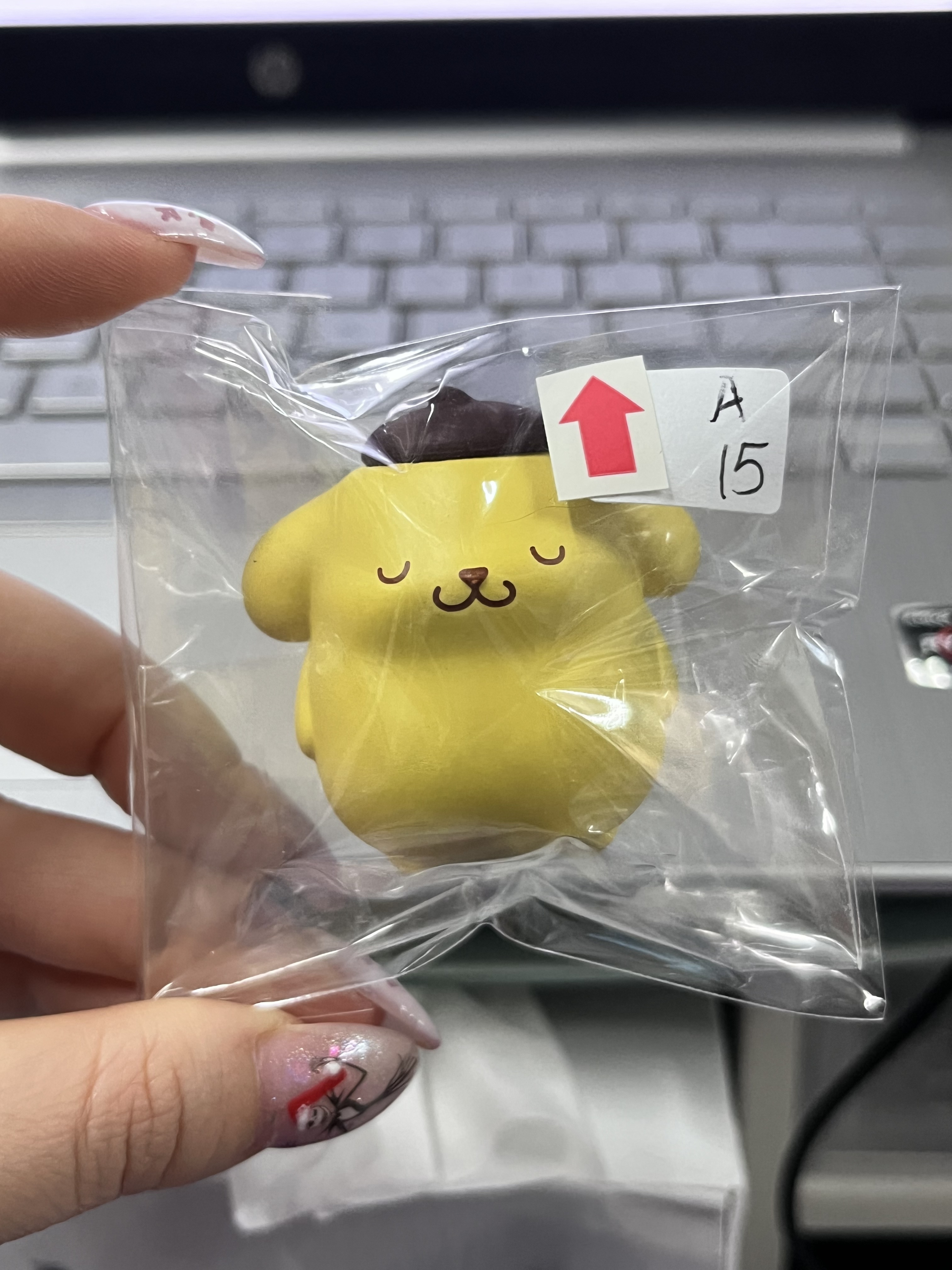 Sanrio (A) 布甸狗 FIGURE 瑕#354