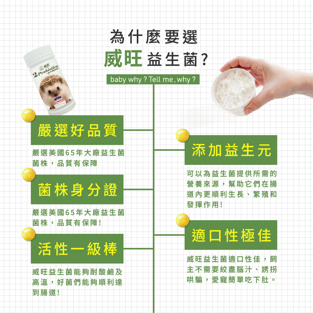 威旺益生菌產品特色介紹圖，強調嚴選美國65年大廠益生菌菌株、菌株身分證、耐酸耐熱高活性益生菌，添加益生元幫助腸道健康，適口性佳，適合寵物日常腸胃保健食用