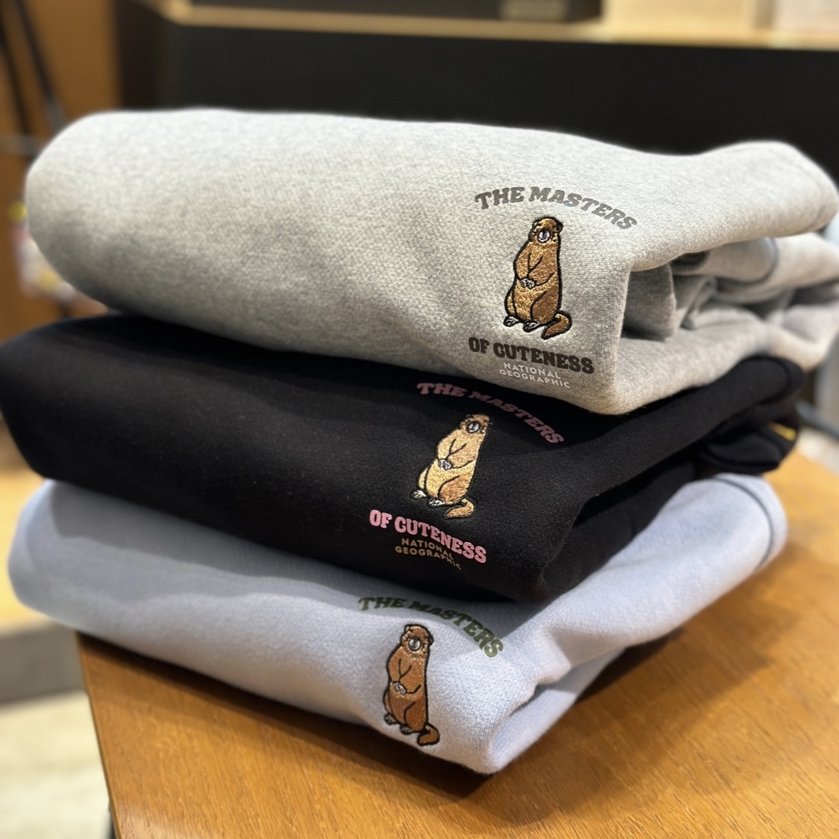 【現貨】NATIONAL GEOGRAPHIC 國家地理 胸前小土撥鼠 大學tee N254USW030