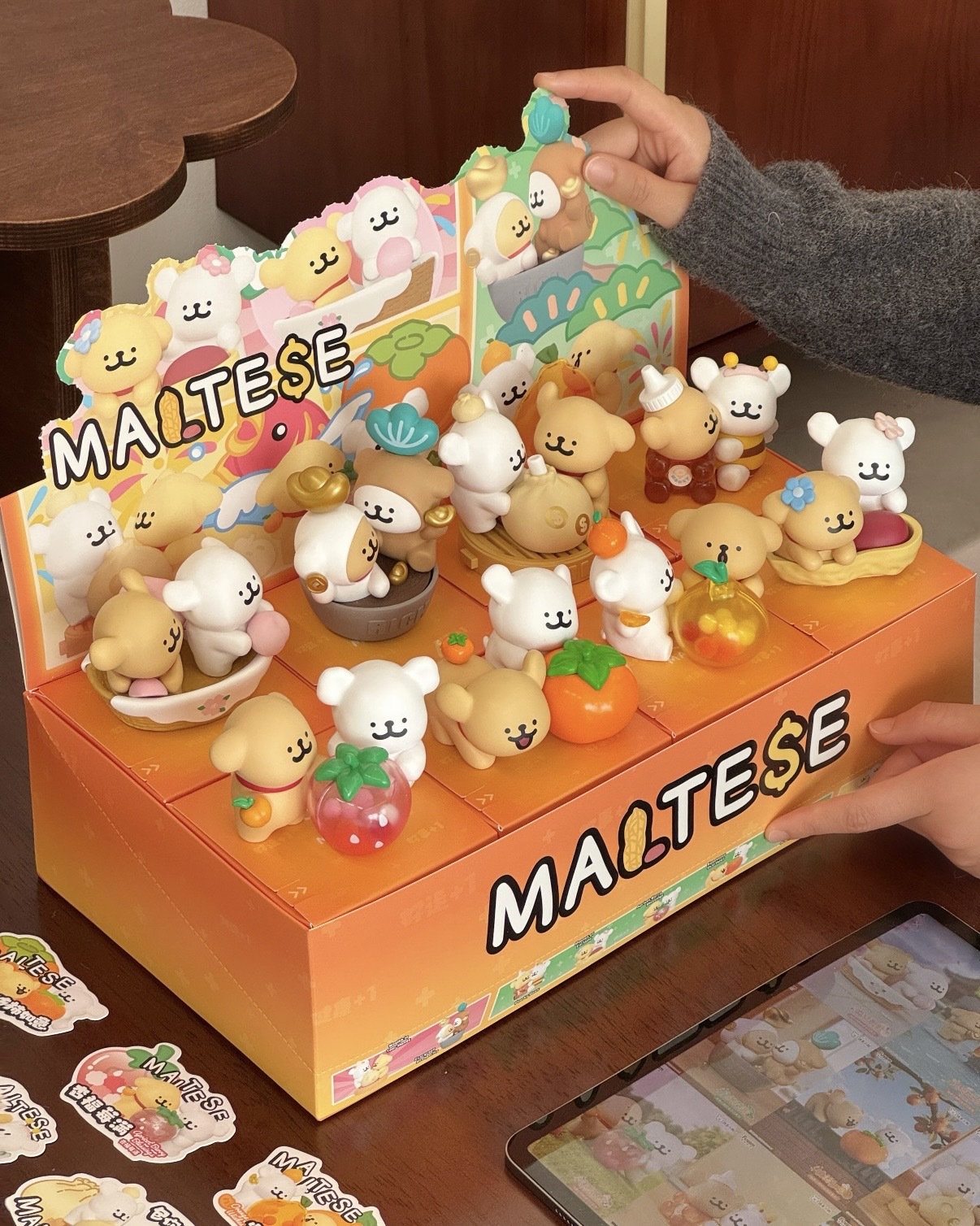 MALTESE 線條小狗 好運旺旺系列 新年限定 盲盒 公仔 / 預購