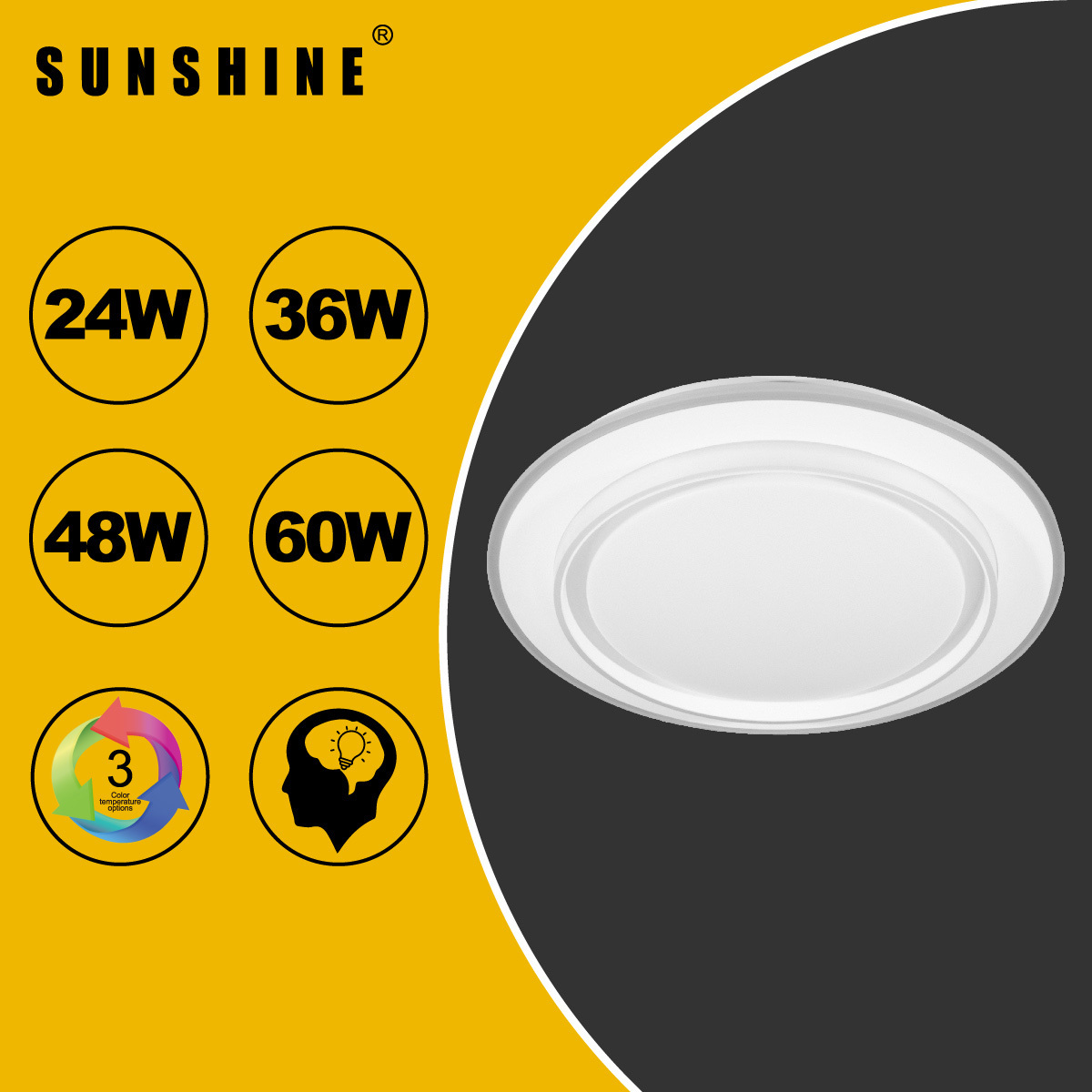 [CLCA1款] 天花吸頂燈 三色溫/遙控三色溫 24W / 36W / 48W /60W