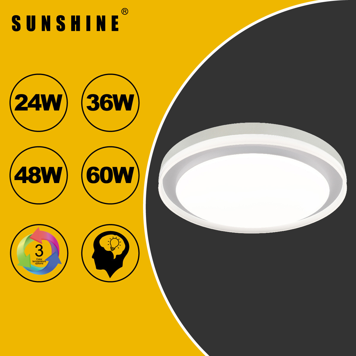 [CLCA2款] 天花吸頂燈 三色溫/遙控三色溫 24W / 36W / 48W /60W