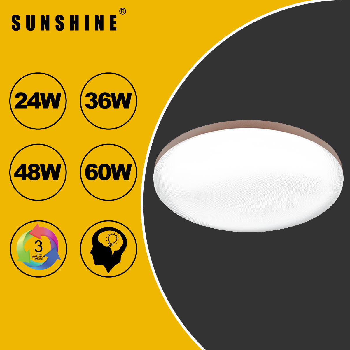 [CLD1款] 天花吸頂燈 三色溫/遙控三色溫 24W / 36W / 48W / 60W