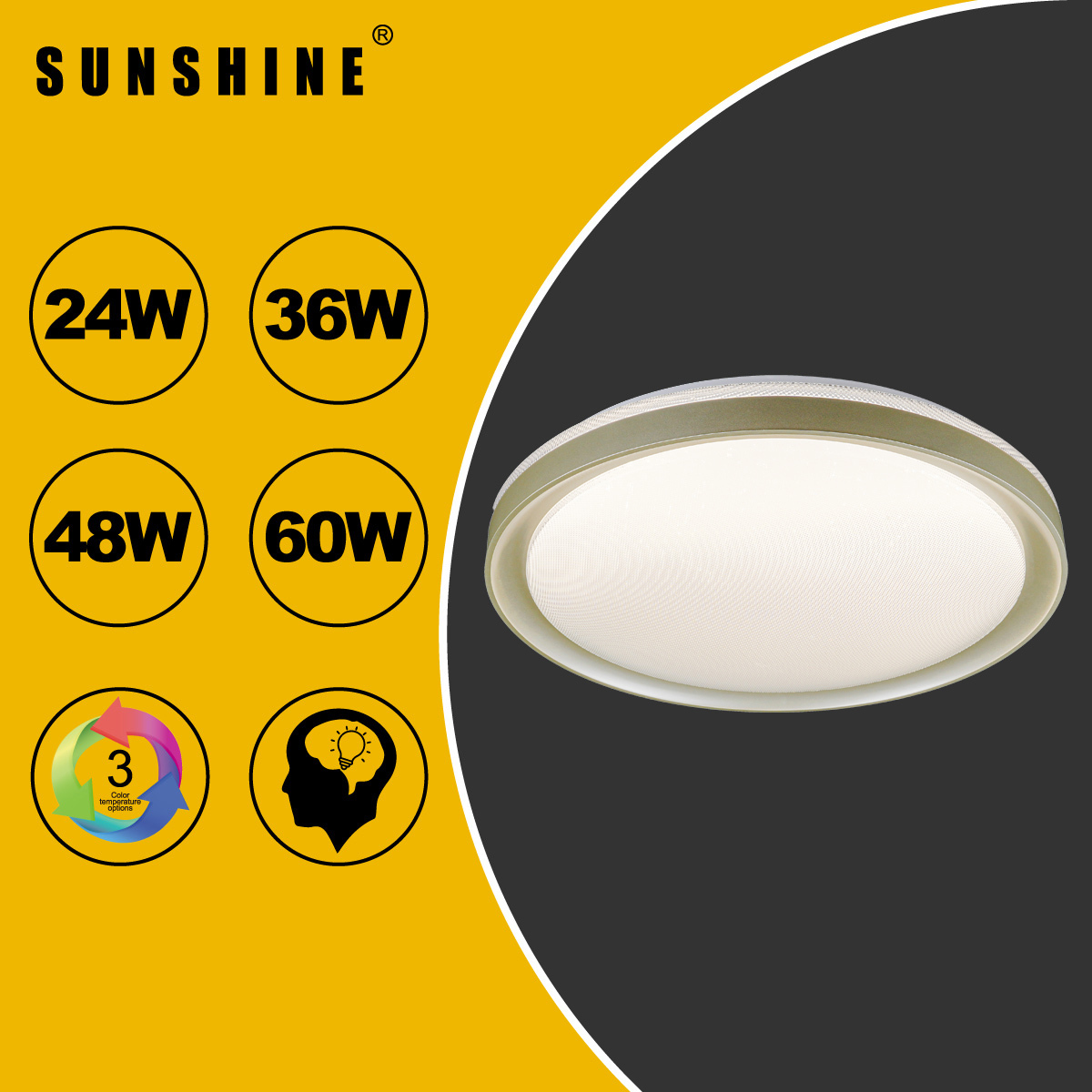 [CLD2款] 天花吸頂燈 三色溫/遙控三色溫 24W / 36W / 48W / 60W