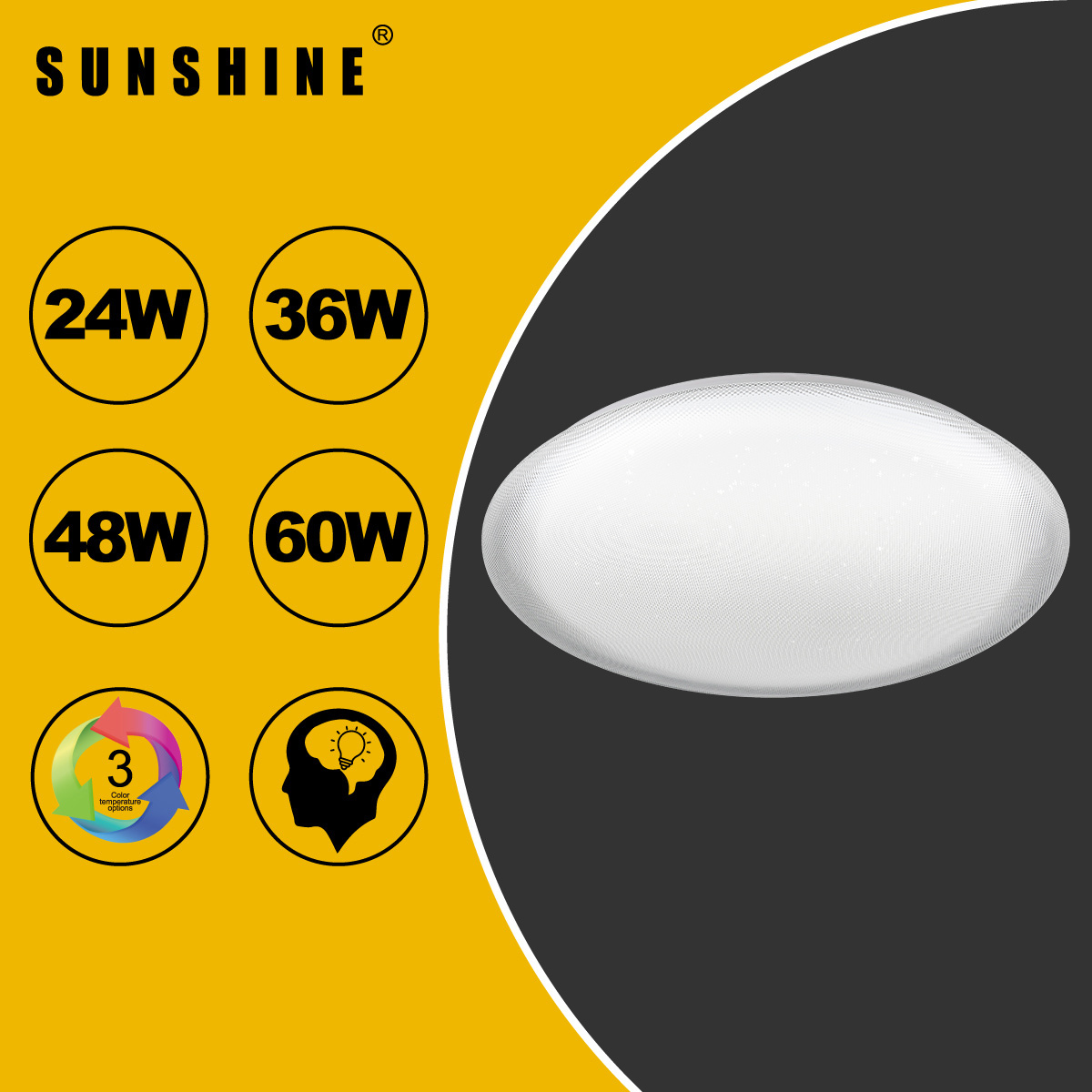 [CLGS3款] 天花吸頂燈 三色溫/遙控三色溫 24W / 36W / 48W / 60W