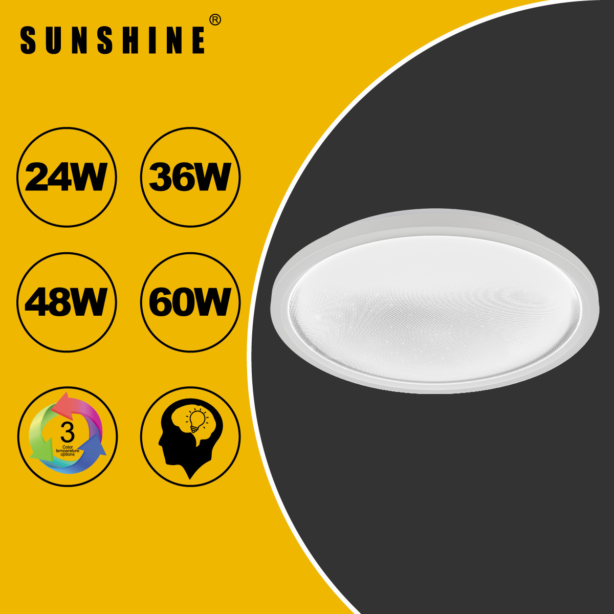 [CLGS4款] 天花吸頂燈 三色溫/遙控三色溫 24W / 36W / 48W / 60W