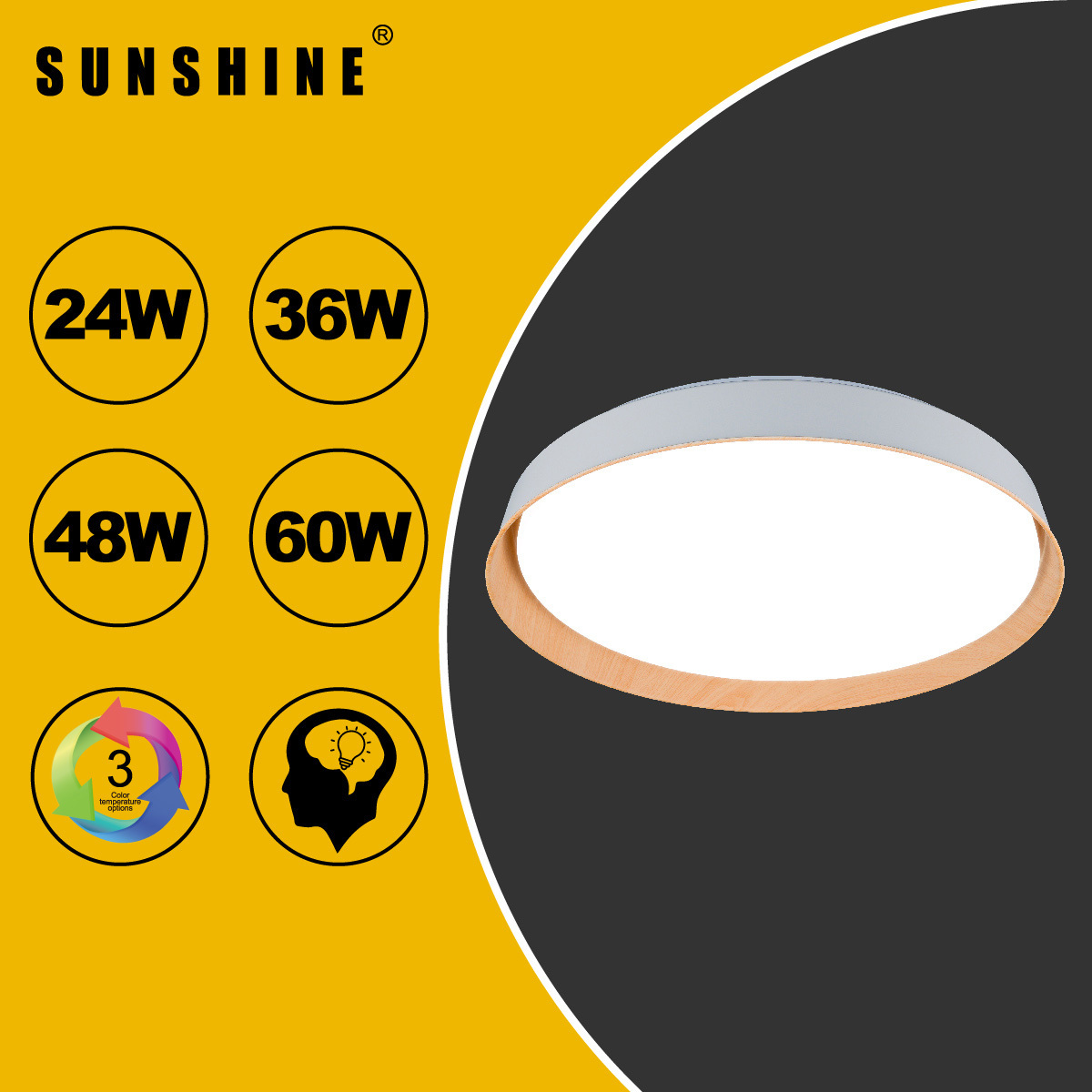 [CLW6款] 天花吸頂燈 三色溫/遙控三色溫 24W / 36W / 48W / 60W