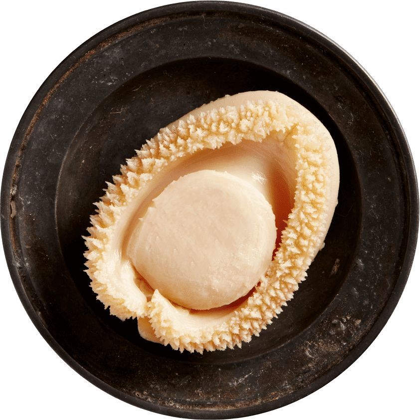 皇后牌南非清湯鮑魚 6頭