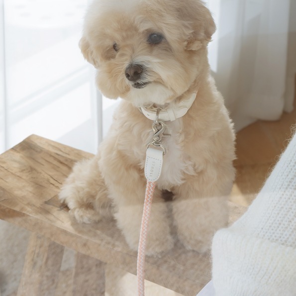 Stroll 經典款編織牽繩_珊瑚