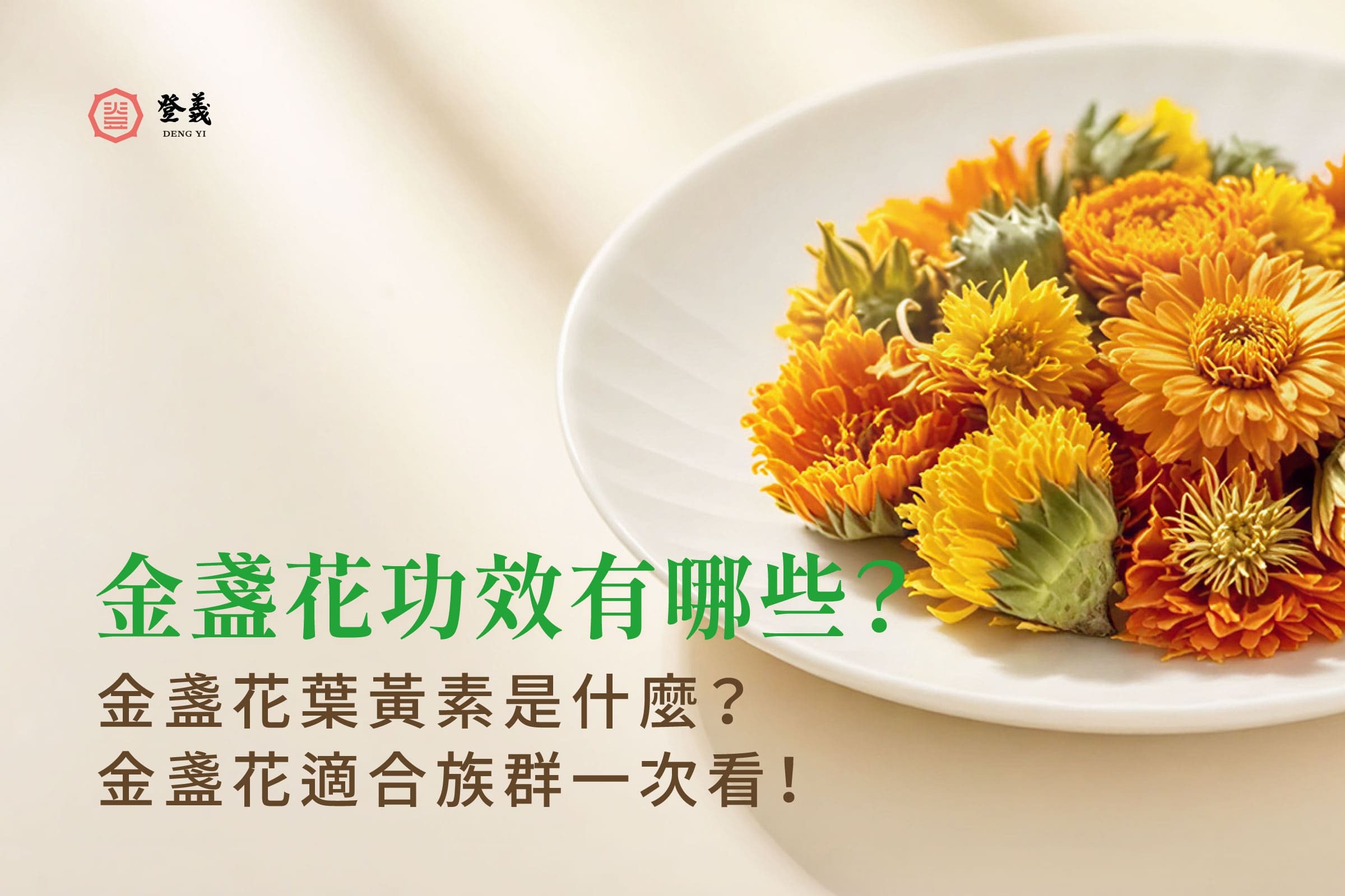 金盞花功效有哪些？金盞花葉黃素是什麼？金盞花適合族群一次看！