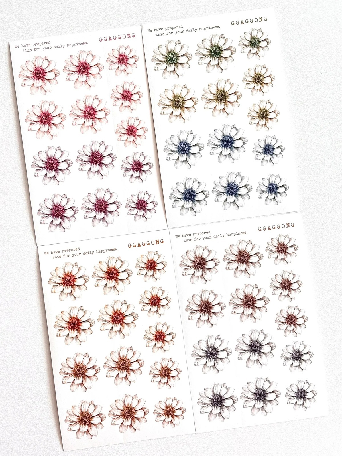 韓國 ggaggong．冬日雛菊 模造紙貼紙包