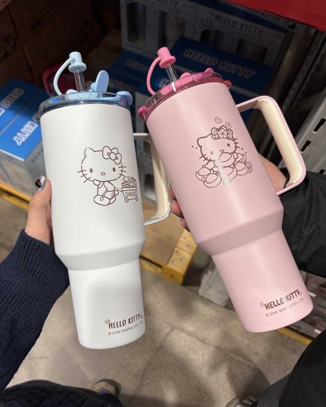<閨蜜想要 閨蜜得到>HELLO KITTY  不鏽鋼水杯 吸管杯 兩件組