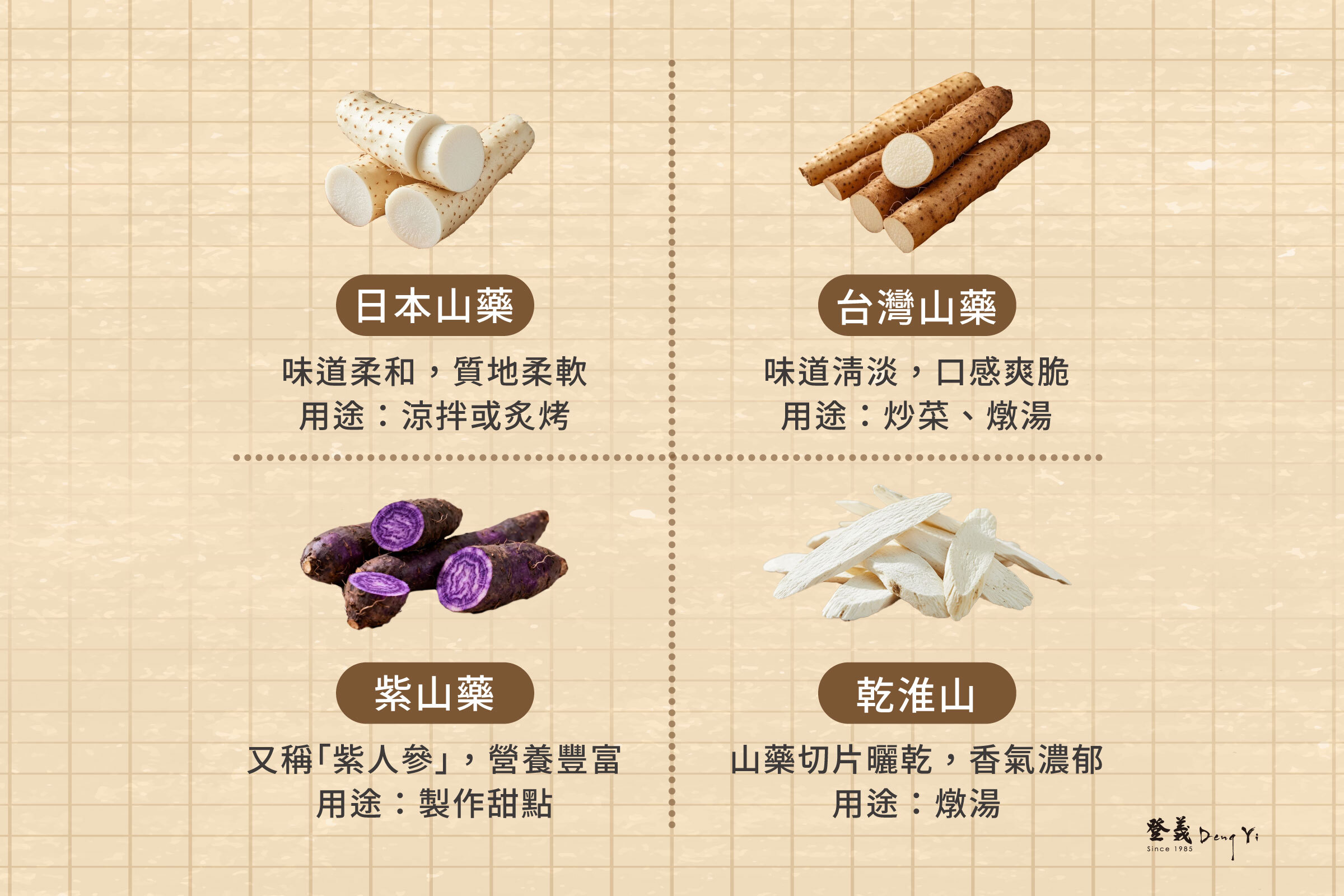 山藥是什麼？常見種類與外觀辨別