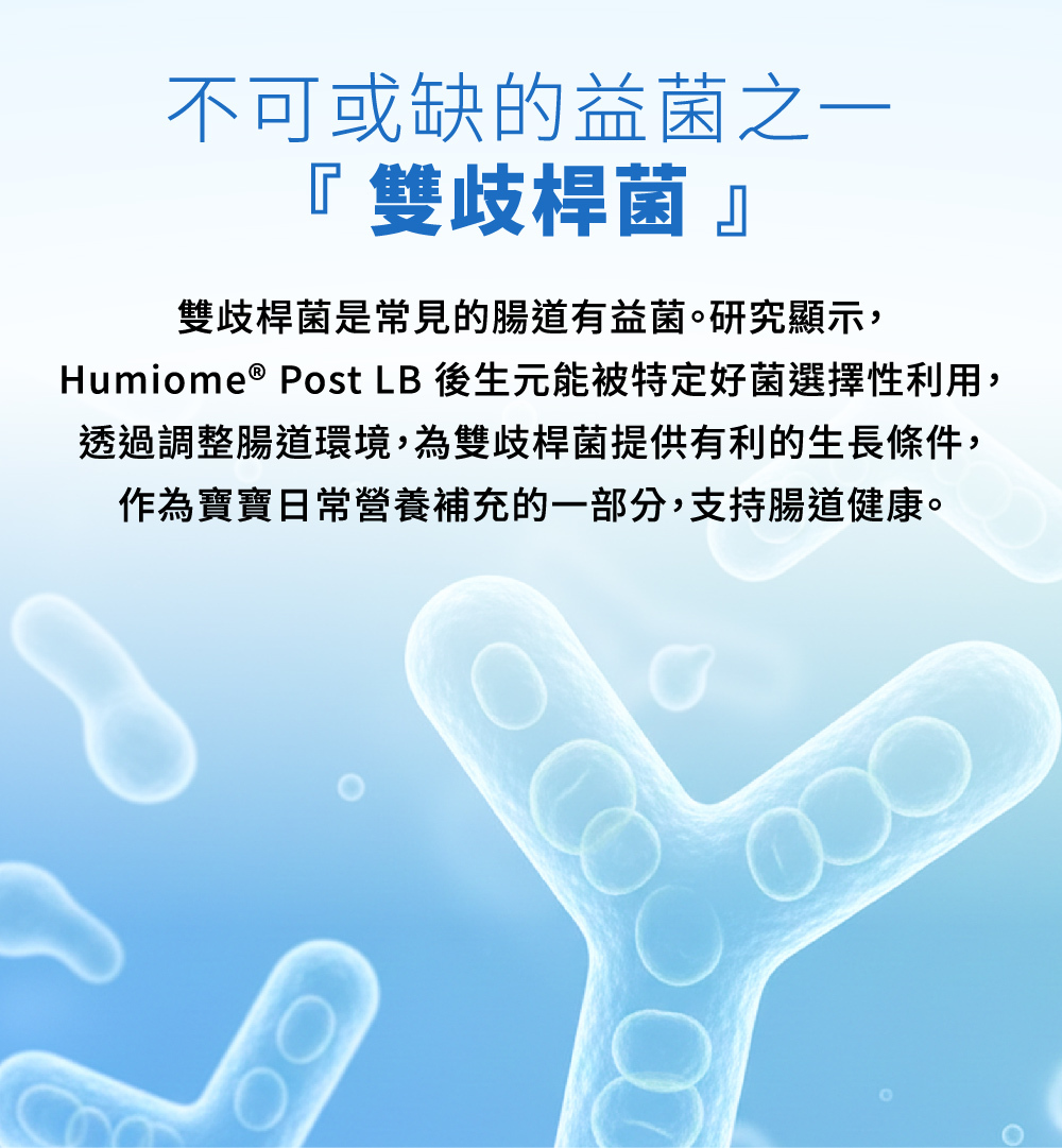 雙歧桿菌的重要性