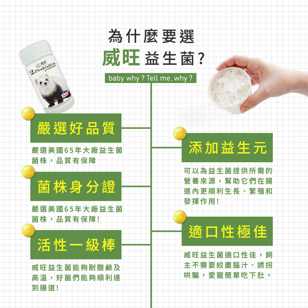 威旺益生菌產品特色介紹圖，強調嚴選美國65年大廠益生菌菌株、菌株身分證、耐酸耐熱高活性益生菌，添加益生元幫助腸道健康，適口性佳，適合寵物日常腸胃保健食用
