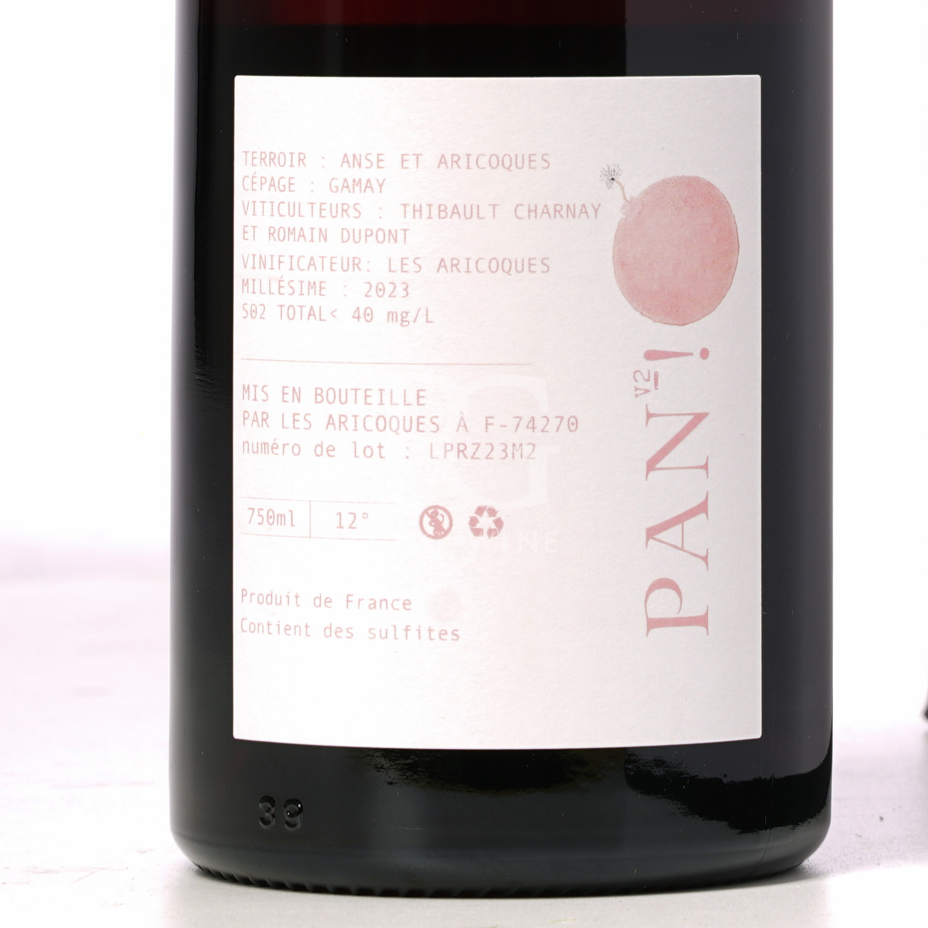 Maison les Aricoques Pan V2 2023