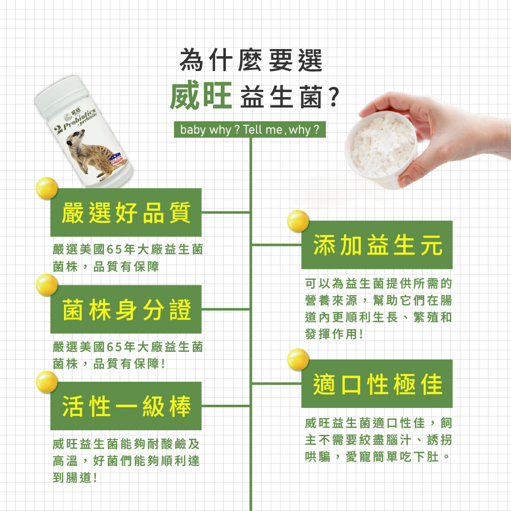 威旺益生菌產品特色介紹,強調嚴選美國65年大廠益生菌菌株、菌株身分證、耐酸耐熱高活性益生菌,添加益生元幫助腸道健康,適口性佳,適合寵物日常腸胃保健食用