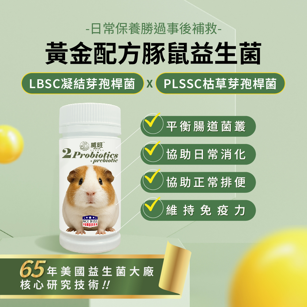 威旺天竺鼠腸胃二菌,使用雙芽孢桿菌配方,幫助腸道菌叢平衡與日常消化保養