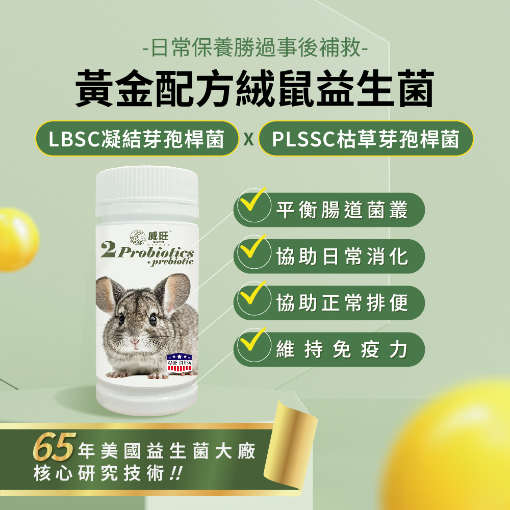 威旺絨鼠腸胃二菌，使用雙芽孢桿菌配方，幫助腸道菌叢平衡與日常消化保養