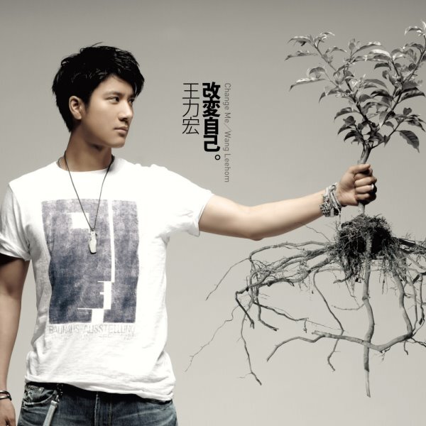 王力宏 Leehom Wang - 改變自己 LP (灰色彩膠)