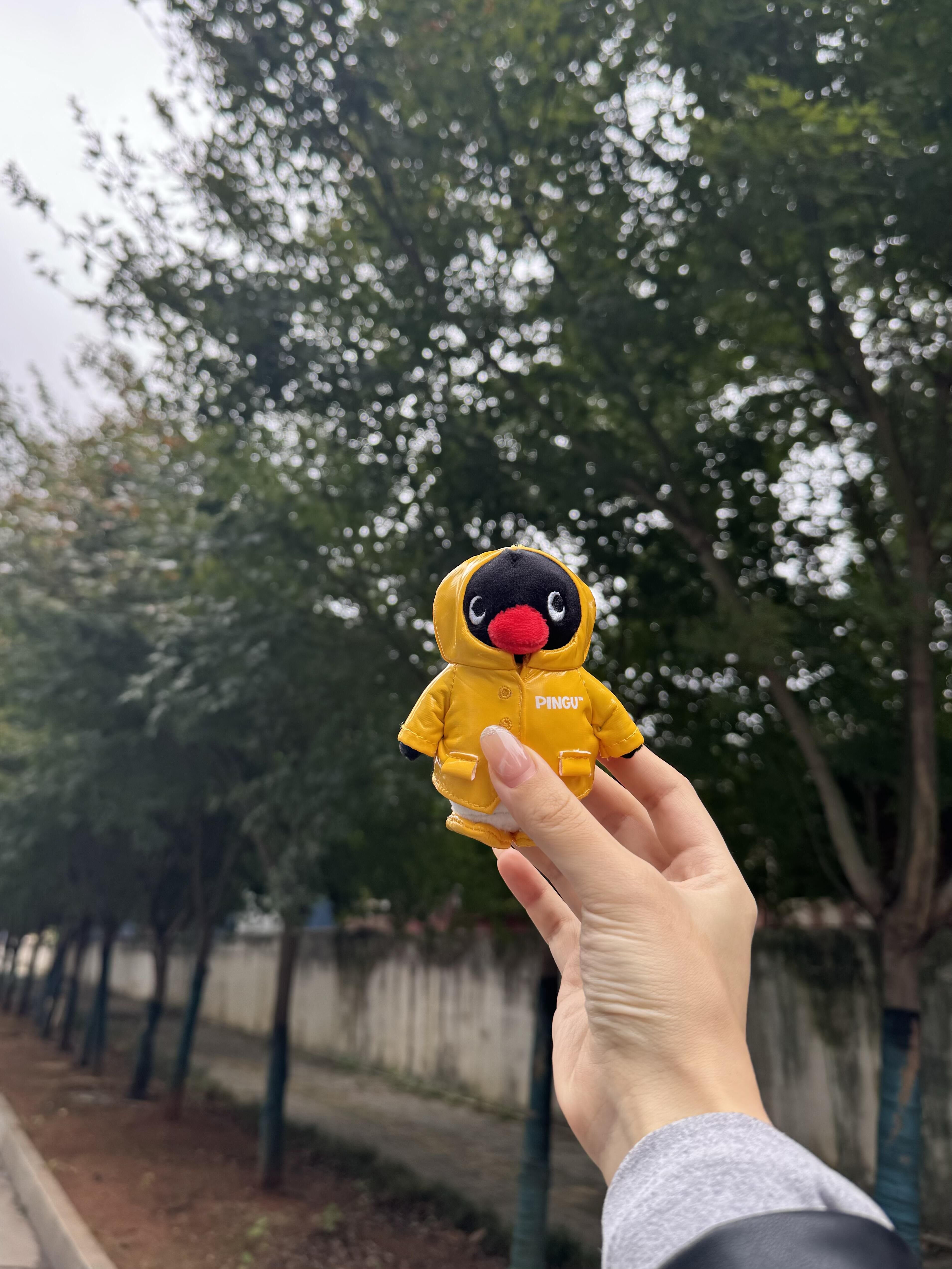 韓國🇰🇷連線 PINGU 企鵝家族 正版授權 雨衣Pingu毛絨吊飾 鑰匙圈 韓國限定 (任買兩件711免運)/預購
