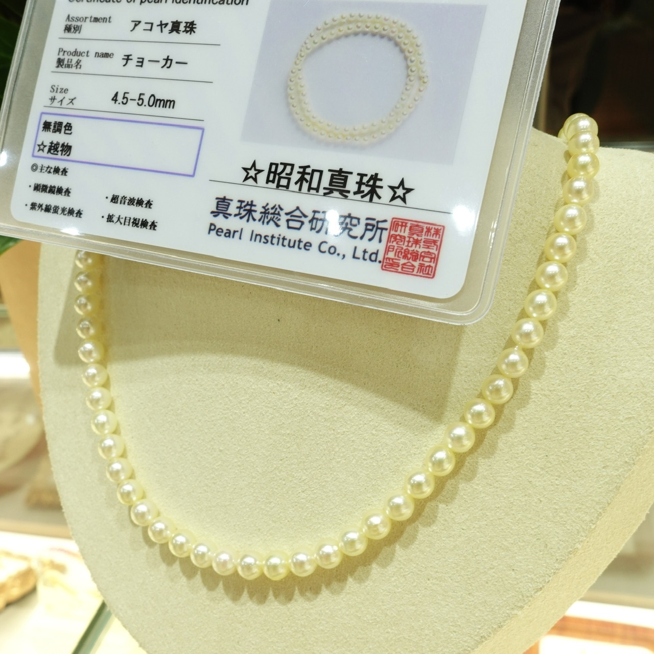 天然無調香檳金色日本Baby Akoya珍珠項鏈  (4.5-5mm) - 配真綜研昭和真珠證書