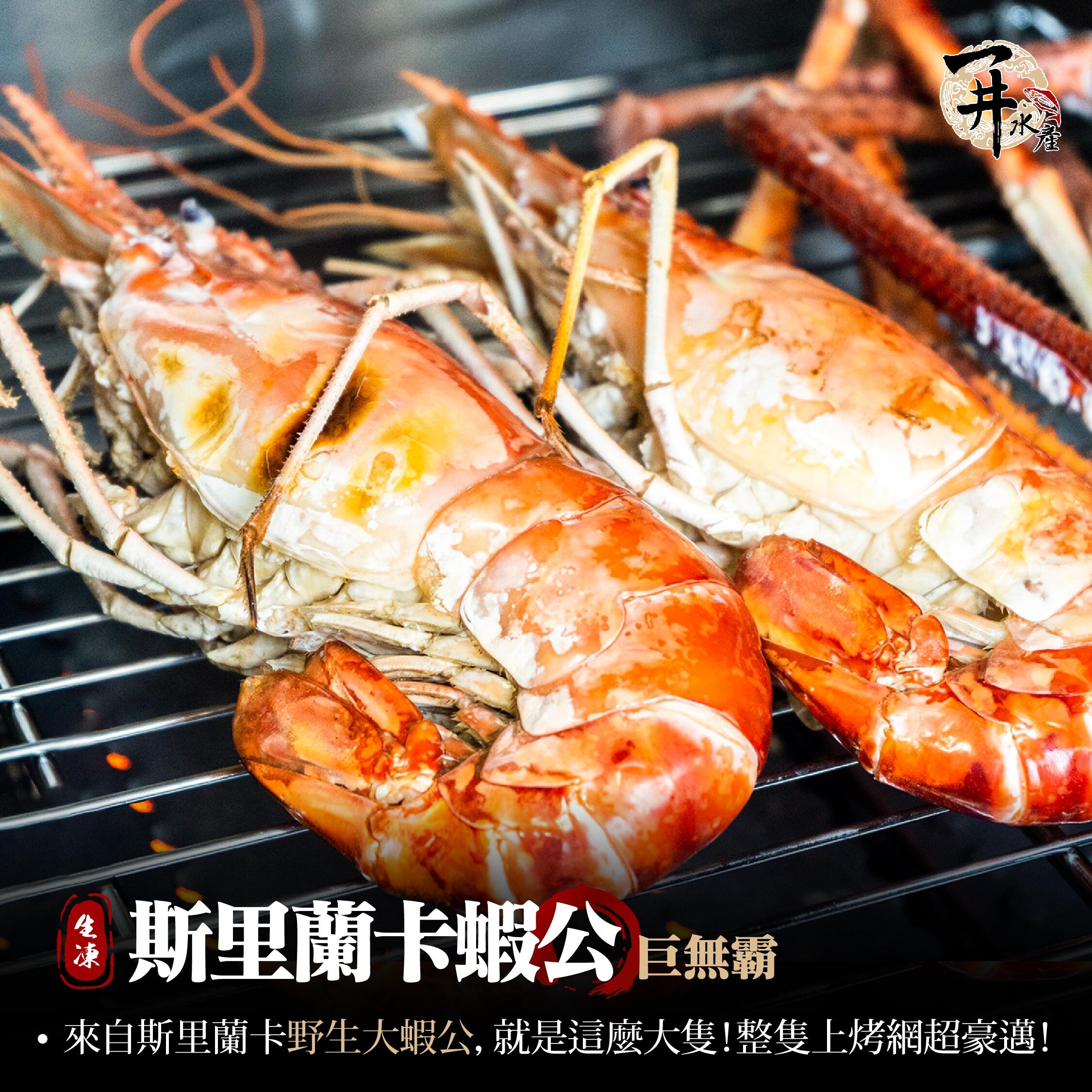 斯里蘭卡 生凍大蝦公