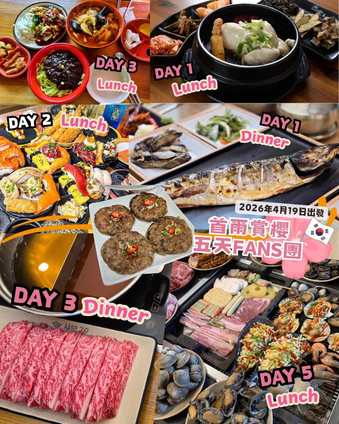 【五天首爾賞櫻】星程旅遊粉絲之卷！[只限報團人士下單]