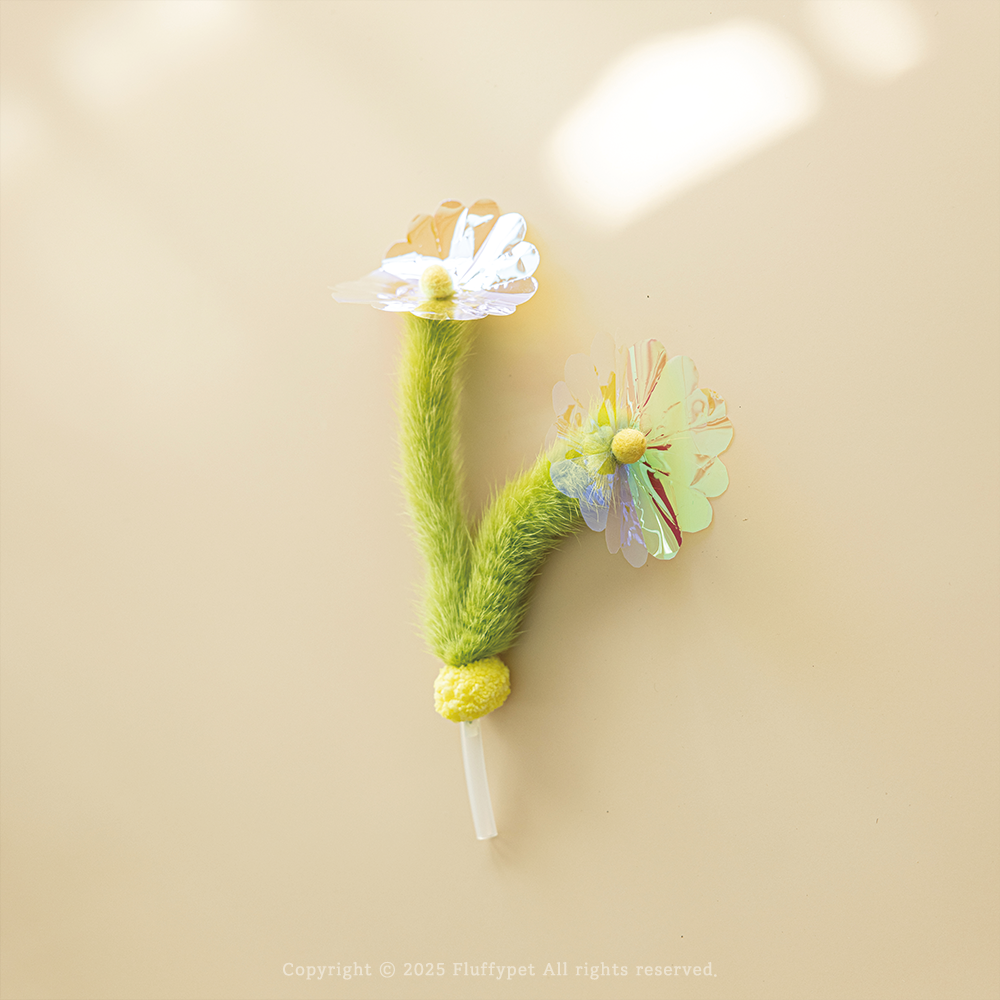 狗尾草與他的小花