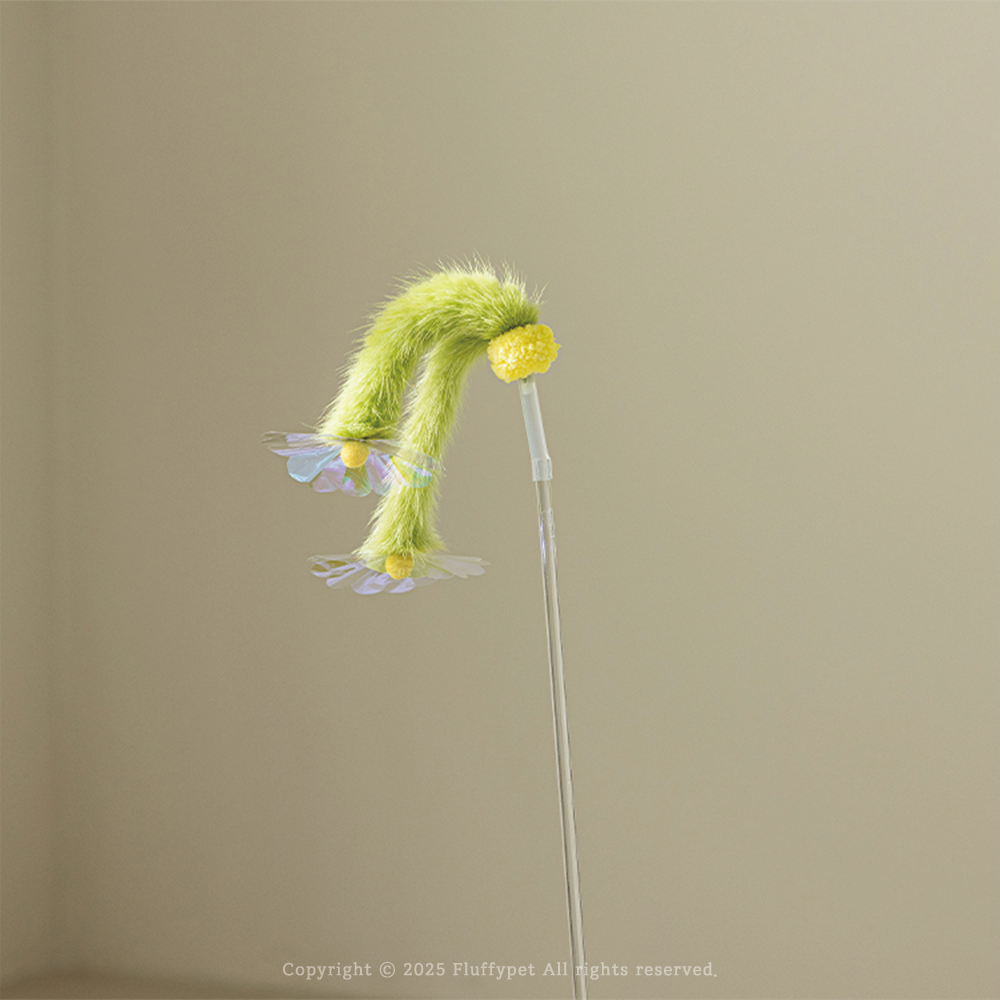 狗尾草與他的小花