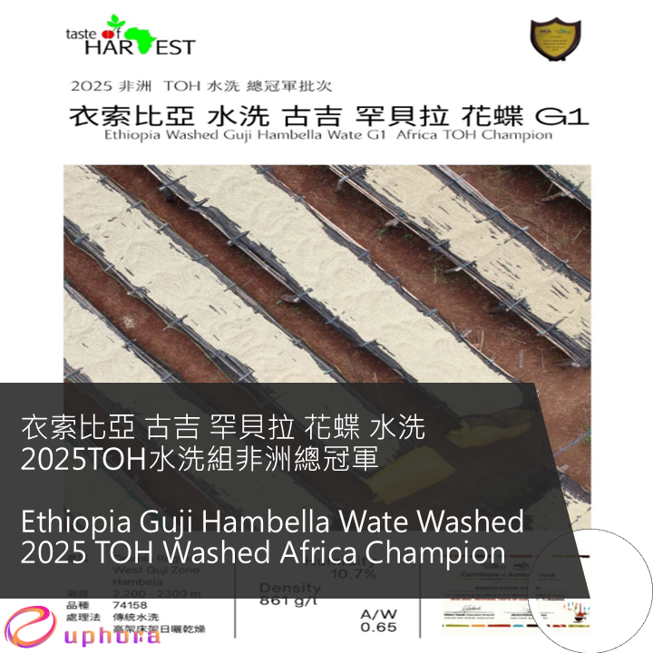 衣索比亞 古吉 罕貝拉 花蝶 水洗 2025TOH水洗組非洲總冠軍