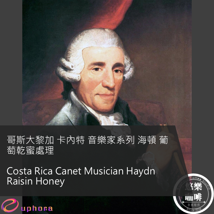 哥斯大黎加 卡內特 音樂家系列 海頓 葡萄乾蜜處理