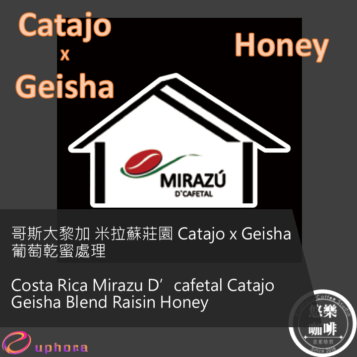哥斯大黎加 米拉蘇莊園 Catajo 藝伎拚配 葡萄乾蜜處理