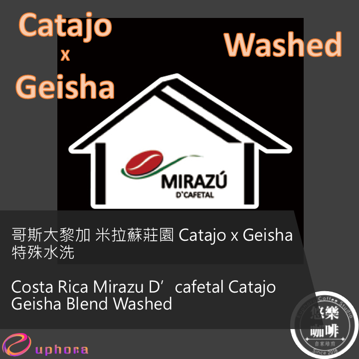 哥斯大黎加 米拉蘇莊園 Catajo 藝伎拚配 特殊水洗