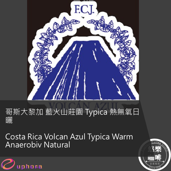 哥斯大黎加 藍火山莊園 Typica 熱無氧日曬
