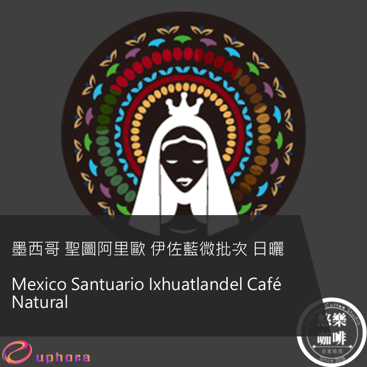 墨西哥 聖圖阿里歐 伊佐藍微批次 日曬