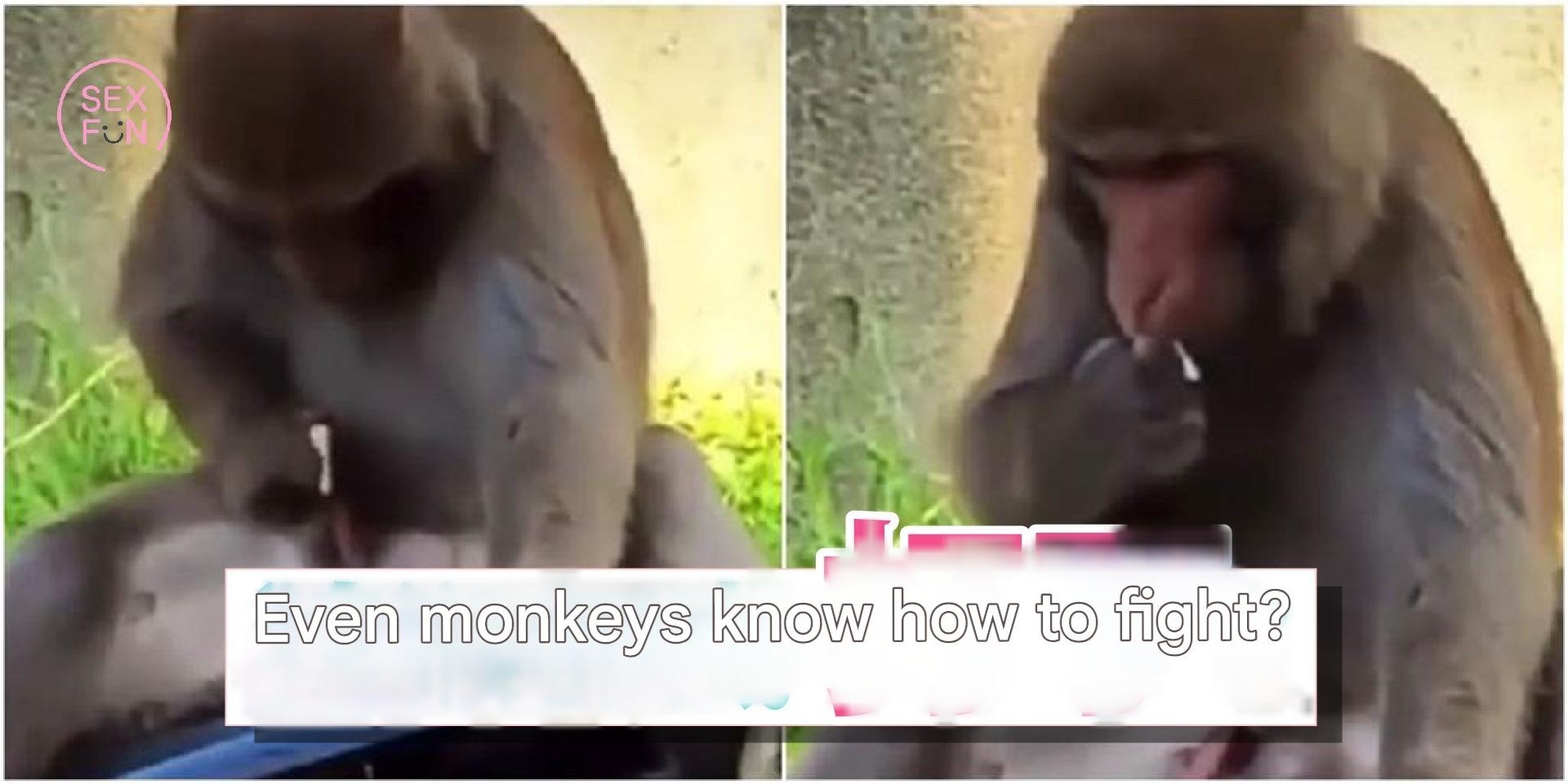 History of female masturbation and evolution research