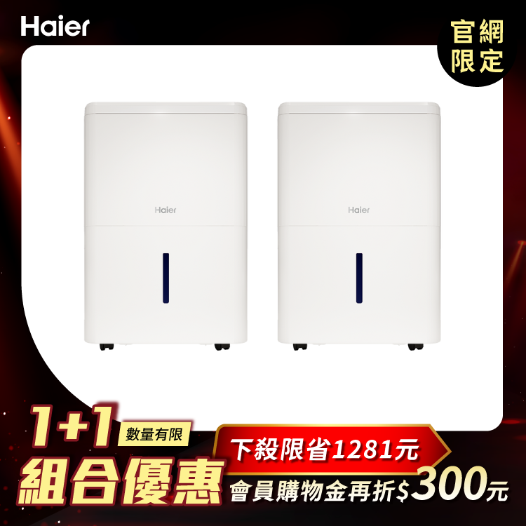 【1+1限定組合】 6L一級能效除濕機 兩入組（H06EA1）