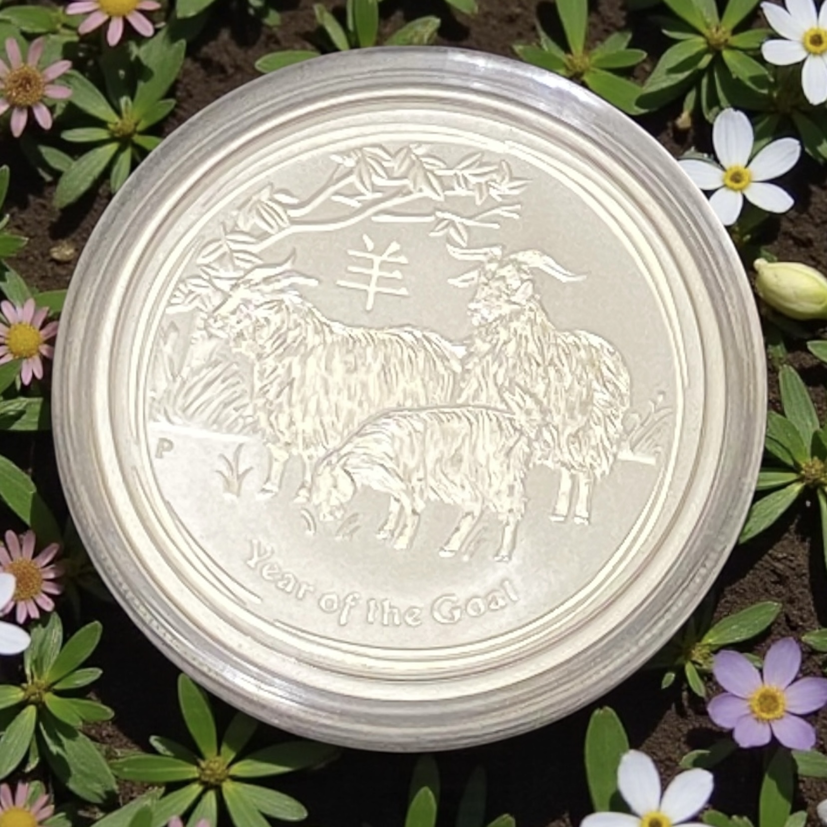 2015 Australian Year of the Goat 0.5 oz Silver Coin (Second Series)