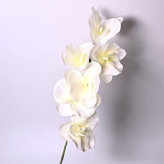 新年裝飾 仿真花 蝴蝶蘭 白