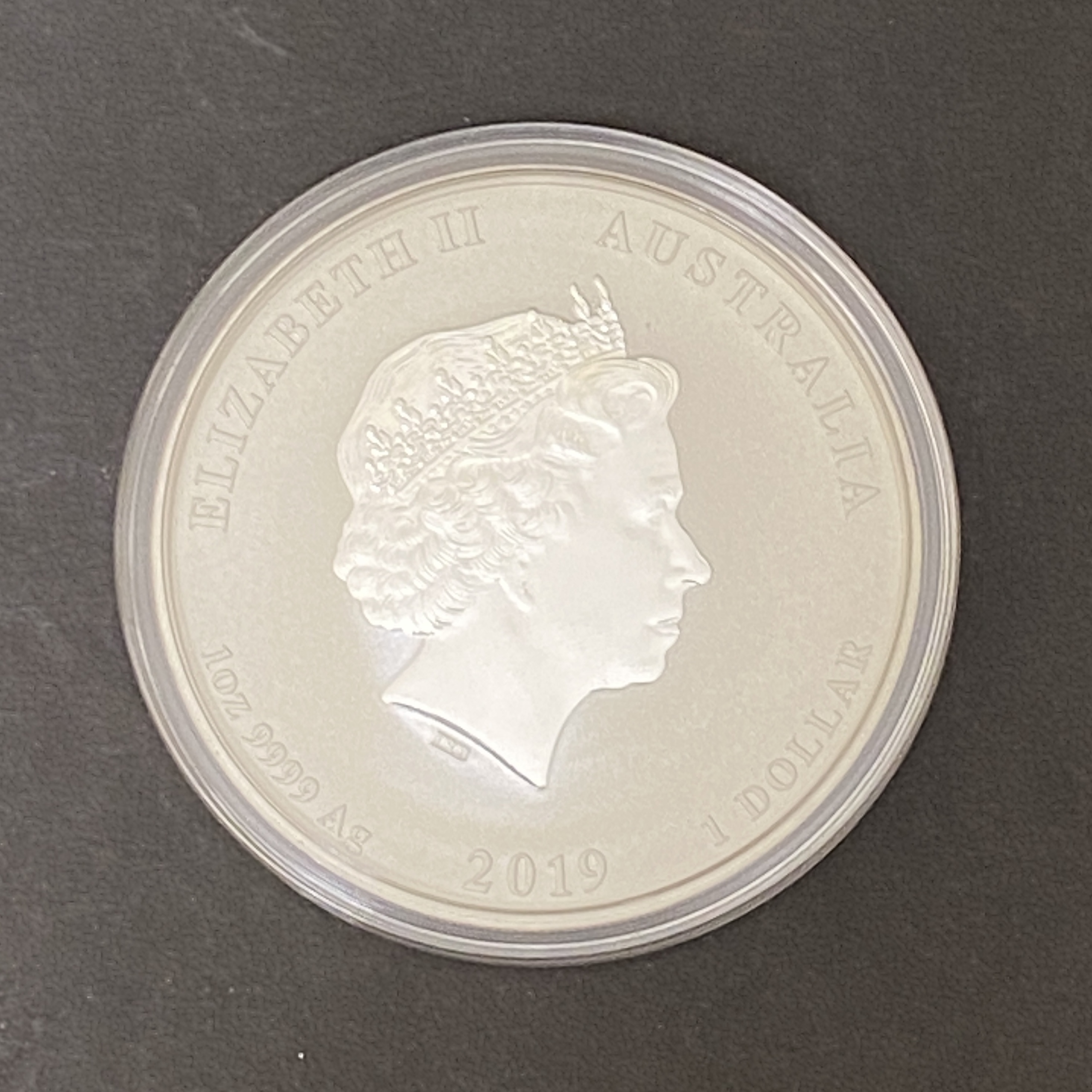 2019 Australian Year of the Pig 1 oz coloured Silver Coin (Second Series)
