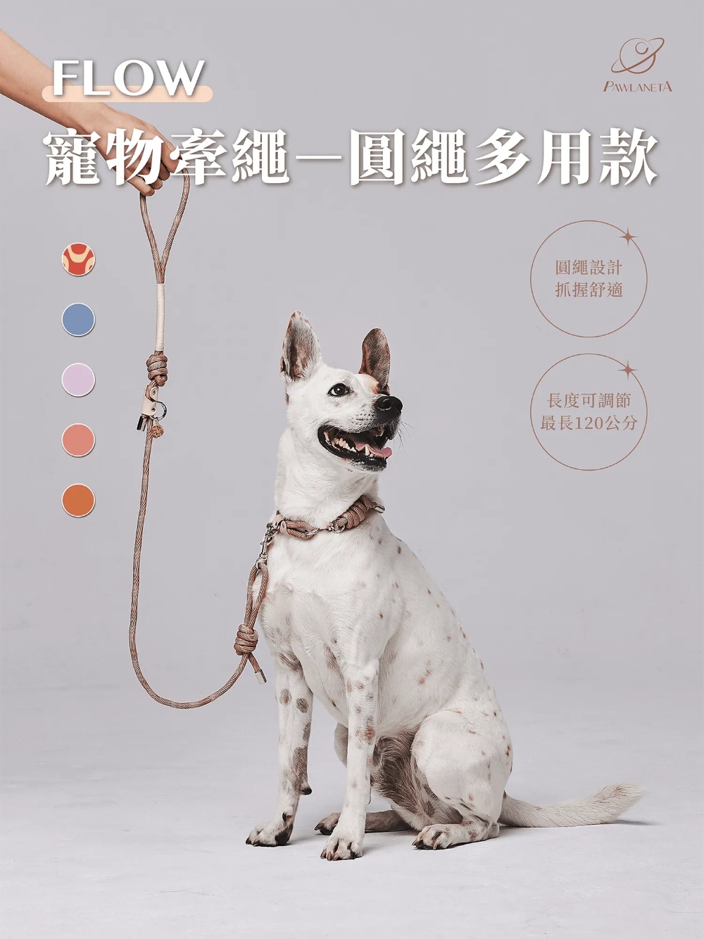 經典單頭牽繩（穩定耐用款）